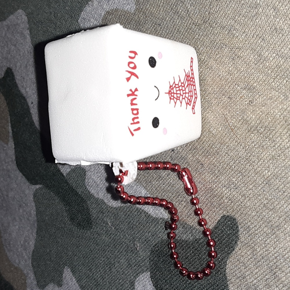 CURIOUS MINDS LIMITED EDITION EDITION MUSHY THANK YOU CHINESE TAKEOUT CHARM NRMI